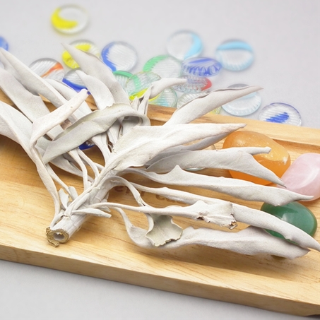 カリフォルニア産ホワイトセージ 10g